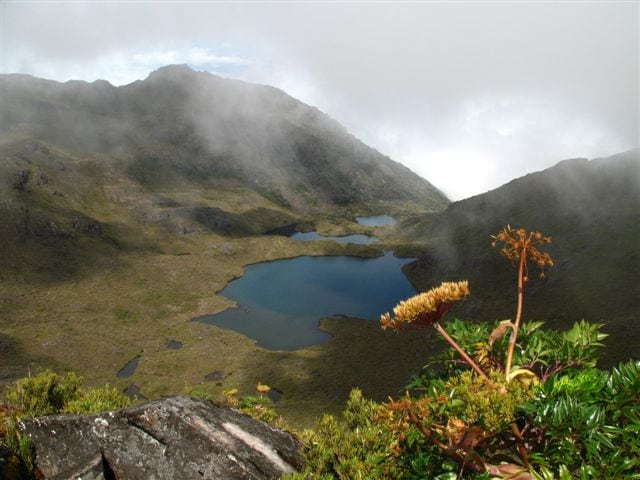 Costa Rica Chirripo paramo National Park