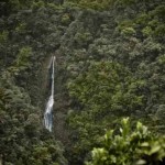 Tapanti National Park Waterfall